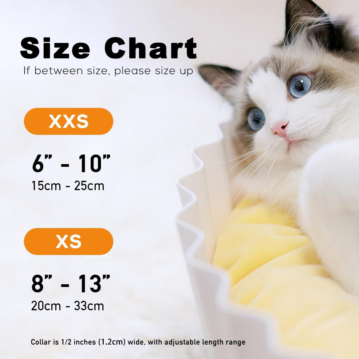 Sushi Cat Collar Bow Tie, Breakaway Safety Collar, Wedding/Birthday Bowtie Collar for Kitten