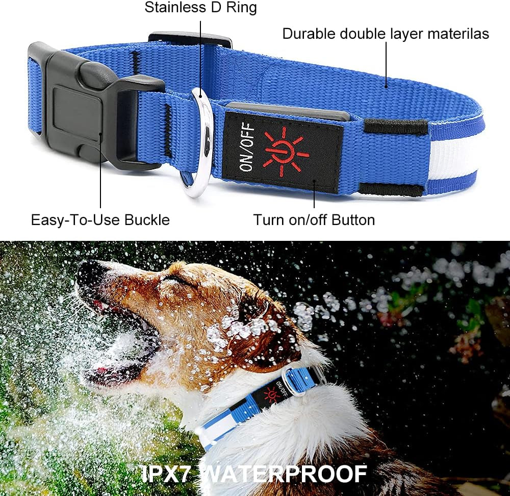 Dog collar with features highlighted and a dog wearing it in water conditions.