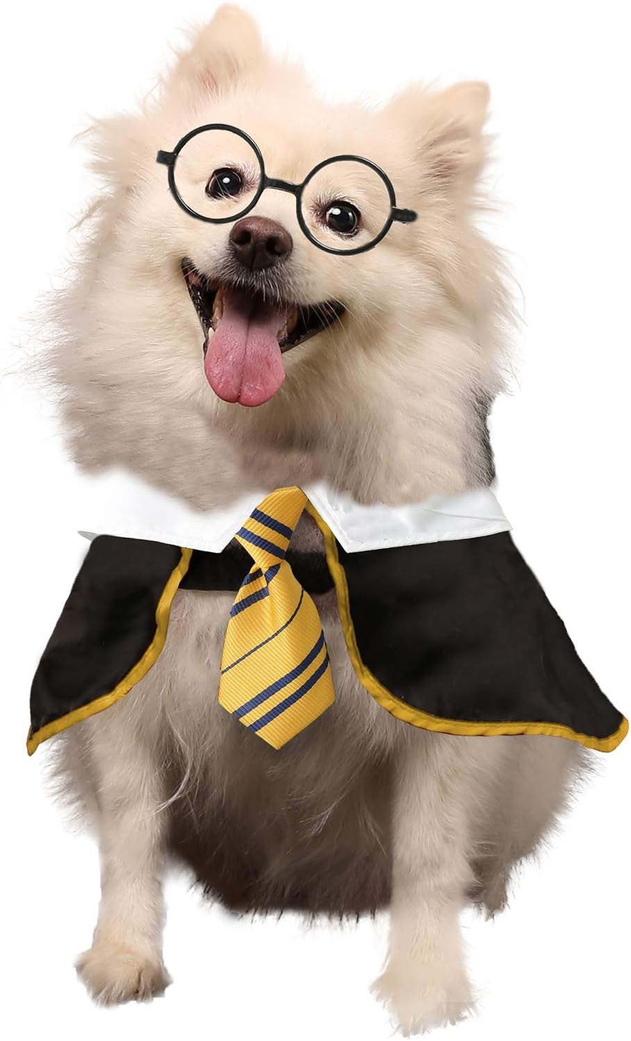 Halloween Costume Pet Wizard Outfit for Dogs and Cats Apparel, Costume, Clothing with Glasses