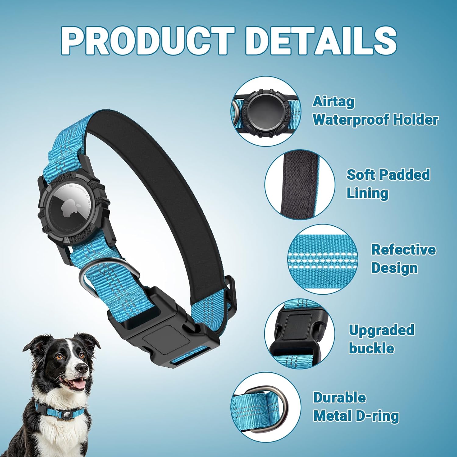 Blue dog collar with features highlighted on a light blue background