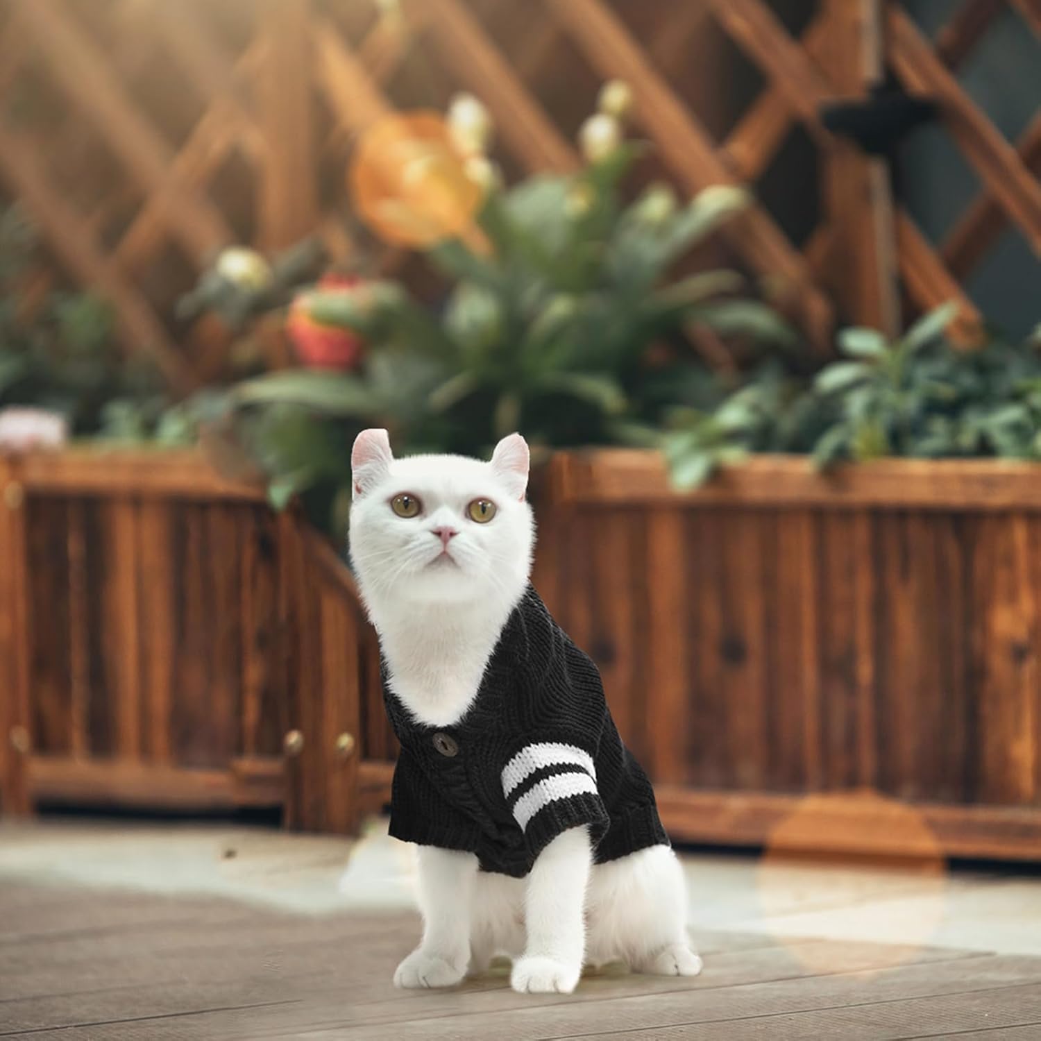 Cat Sweater for Cold Weather - Stylish Knitted Sweatshirt with Sleeves, Winter Kitten Clothes for All Different Cats (Small, Black)