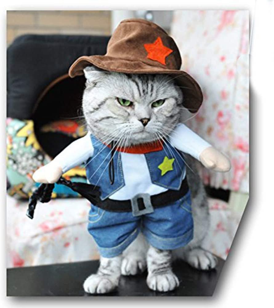 Cowboy Dog Costume with Hat - Cat & Small Dog Clothes - Blue (X-Small)