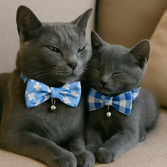 The Dapper Duo Bow Collar Set with Breakaway and Cute Bow Tie in Bell Plaid and Flower print for Cats (Blue)