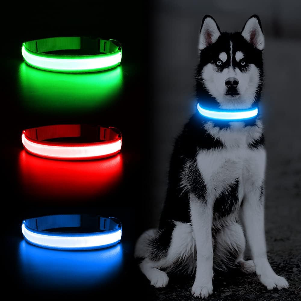 LED rechargeable dog collar glowing bright for nighttime pet safety