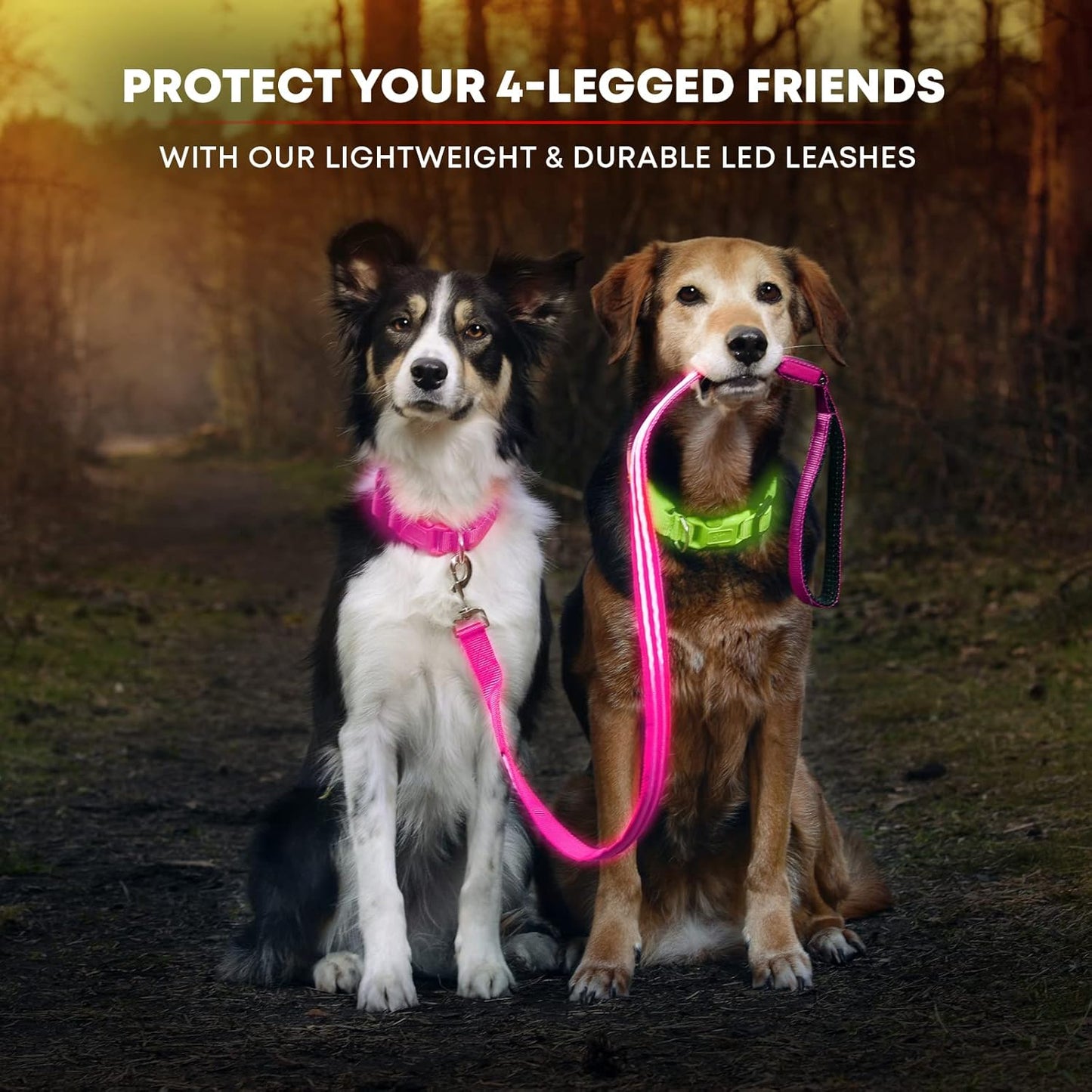LED Light up Dog Leash | Ultra High Visibility up to 350 Yards | 3 Lighting Modes | USB Rechargeable, No Batteries Needed | Padded Handle & Rotating Swivel Clasp to Prevent Leash Tangling