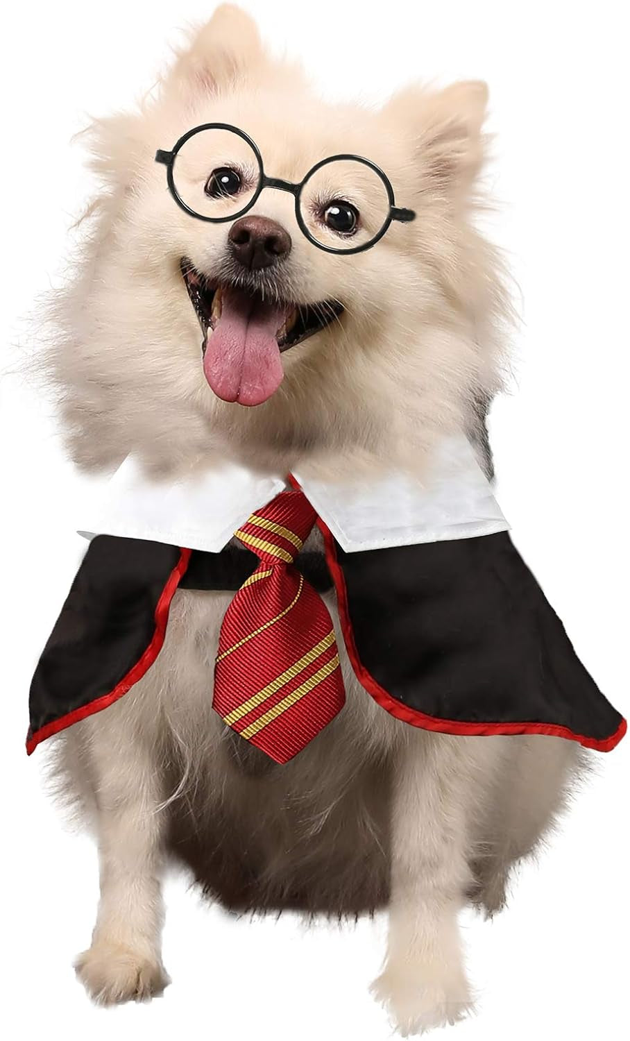 Halloween Costume Pet Wizard Outfit for Dogs and Cats Apparel, Costume, Clothing with Glasses