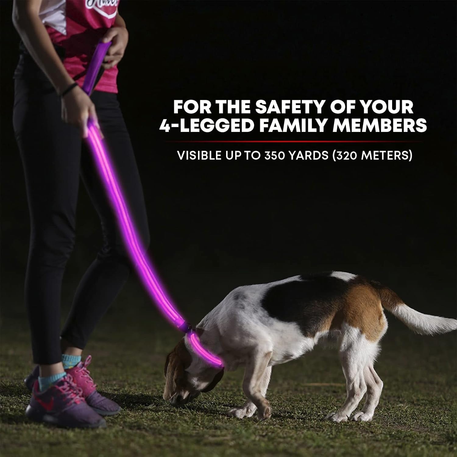 LED Light up Dog Leash | Ultra High Visibility up to 350 Yards | 3 Lighting Modes | USB Rechargeable, No Batteries Needed | Padded Handle & Rotating Swivel Clasp to Prevent Leash Tangling