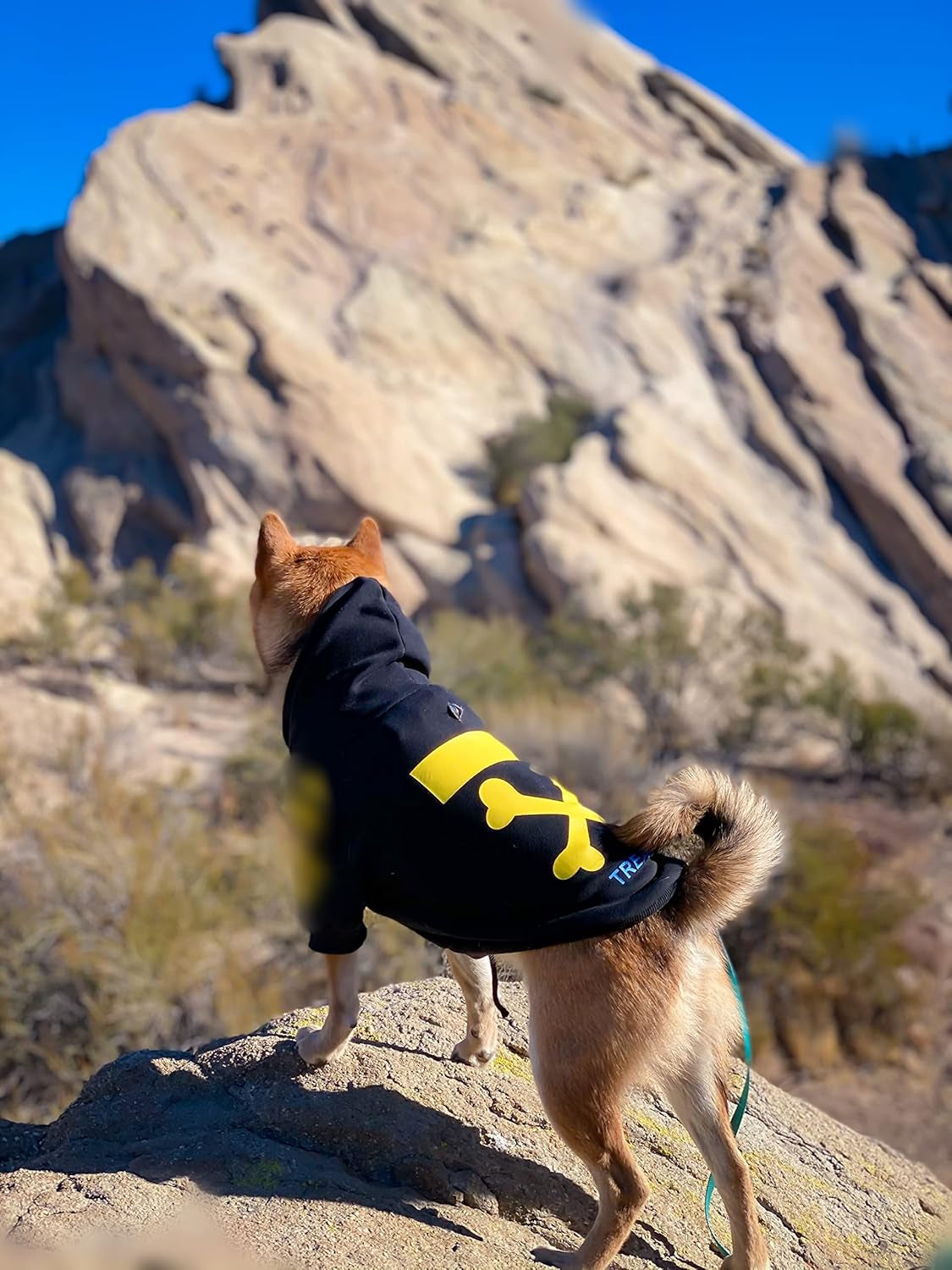 Stylish Dog Hoodie Dog Clothes Streetwear Cotton Sweatshirt Fashion Outfit for Dogs Cats Puppy Small Medium Large (XL, Yellow)