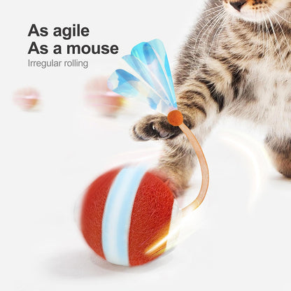 The MeowZoom Chase Orb - Interactive Cat Toys for Indoor Cats, Agile Moving Cat Ball with Elastic Mesh Tail