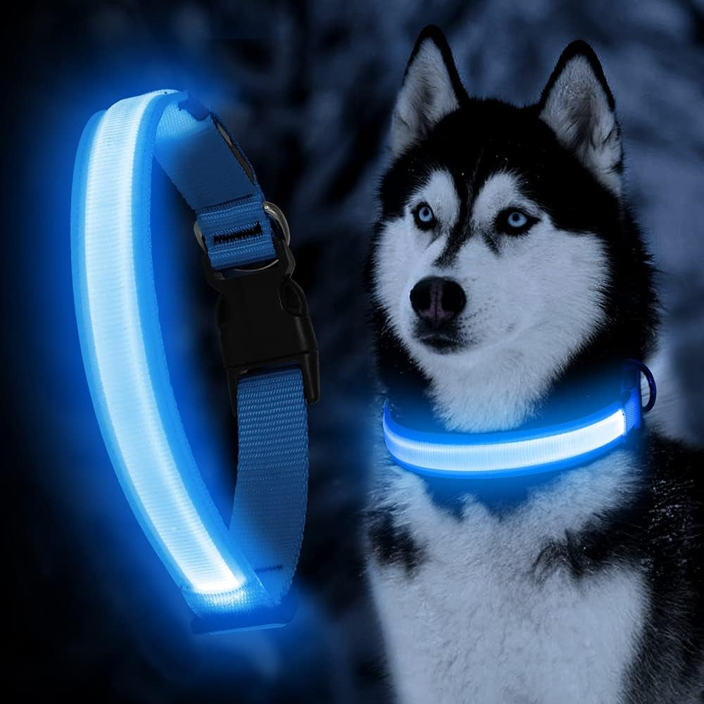 Rechargeable LED dog collar glowing bright for nighttime safety and visibility in blue
