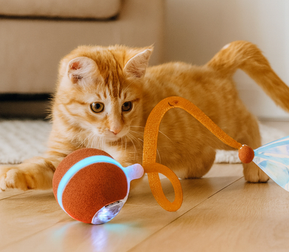 The MeowZoom Chase Orb - Interactive Cat Toys for Indoor Cats, Agile Moving Cat Ball with Elastic Mesh Tail