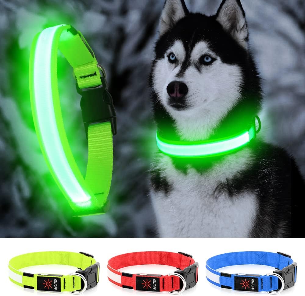 Rechargeable LED dog collar glowing bright for nighttime safety and visibility in green
