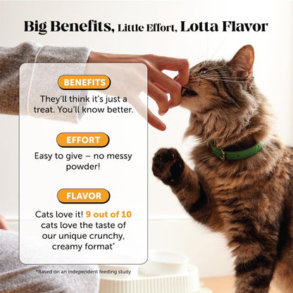Cat Immune Support Lysine – Allergy Relief & Immune Health Supplement for Cats with L-Lysine, Colostrum, Quercetin & Omega-3 – Soothes Sneezing, Runny Nose & Itchy Skin Chicken, (30-Day Supply)