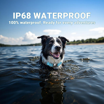 The WagGuard Collar - IP68 Waterproof Heavy Duty Reflective Padded Design with Integrated Airtag Holder for Dogs