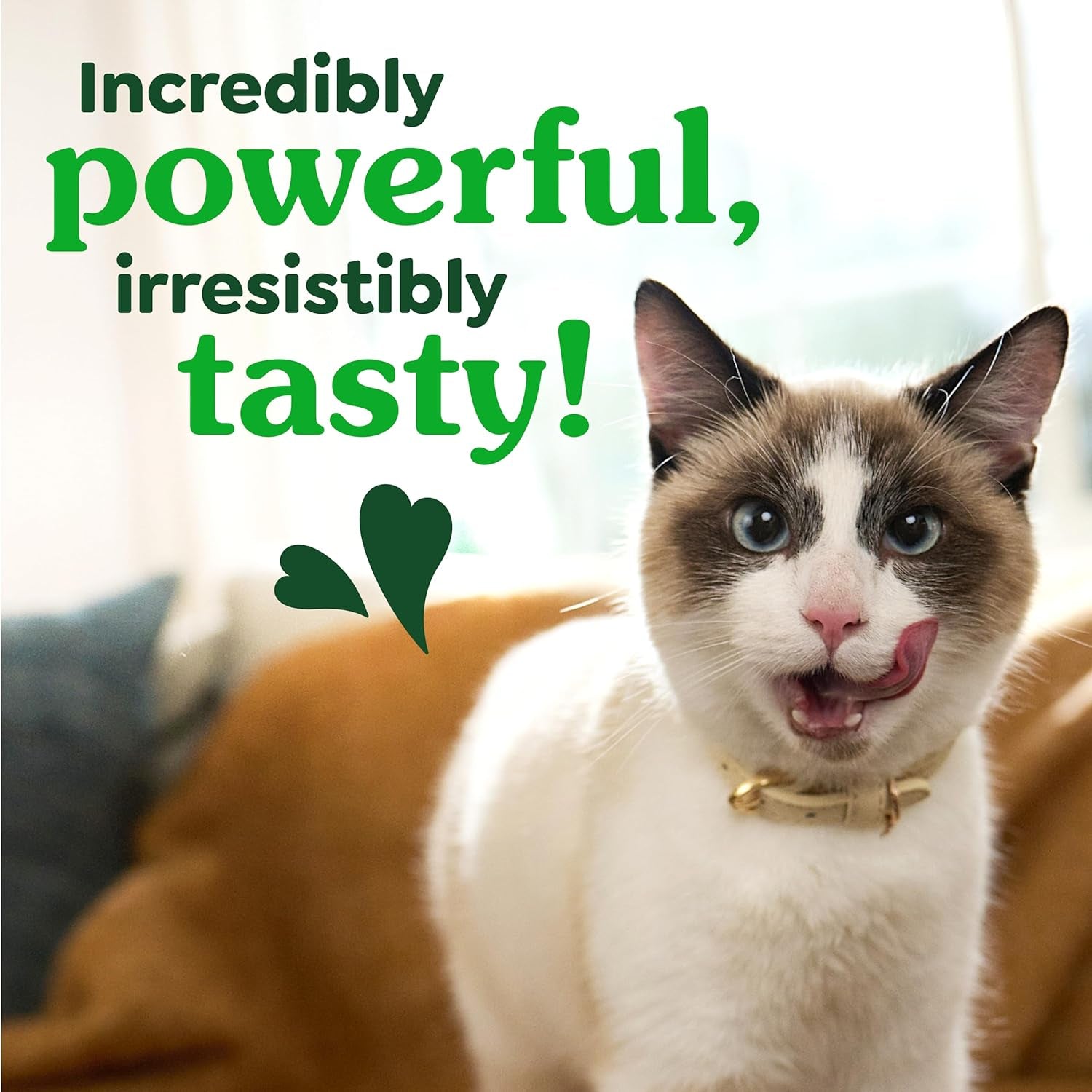 Cat Treats, Feline Veterinarian-Recommended Adult Natural Dental Cat Treats, Savory Salmon Flavor, 9.75 Oz. Tub