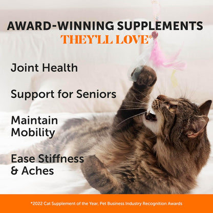 Cat Hip + Joint Health Chews – Crunchy & Creamy Cat Joint Support Supplement - Glucosamine, Chondroitin & Omega-3S – Supports Mobility, Flexibility & Comfort for Indoor & Outdoor Cats (Chicken 30-Day)