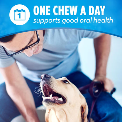 Daily Oral Care Dog Treats for Small and Medium Dogs, Chewy Dental Treat to Freshen Breath and Fight Tartar, Chicken Flavor - 40 Ct. Pouch
