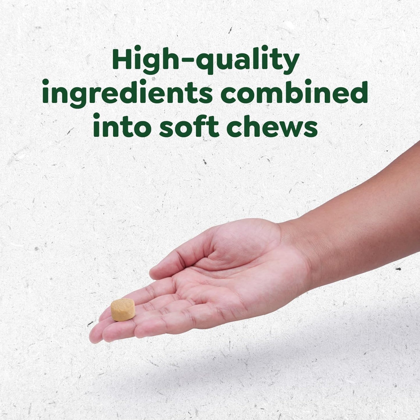 Dog Supplements 8-In-1 Multi-Benefit Dog Vitamins and Supplements Chicken Flavor, 15.5 Oz. Container, 80 Count