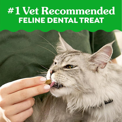 Cat Treats, Feline Veterinarian-Recommended Adult Natural Dental Cat Treats, Savory Salmon Flavor, 9.75 Oz. Tub