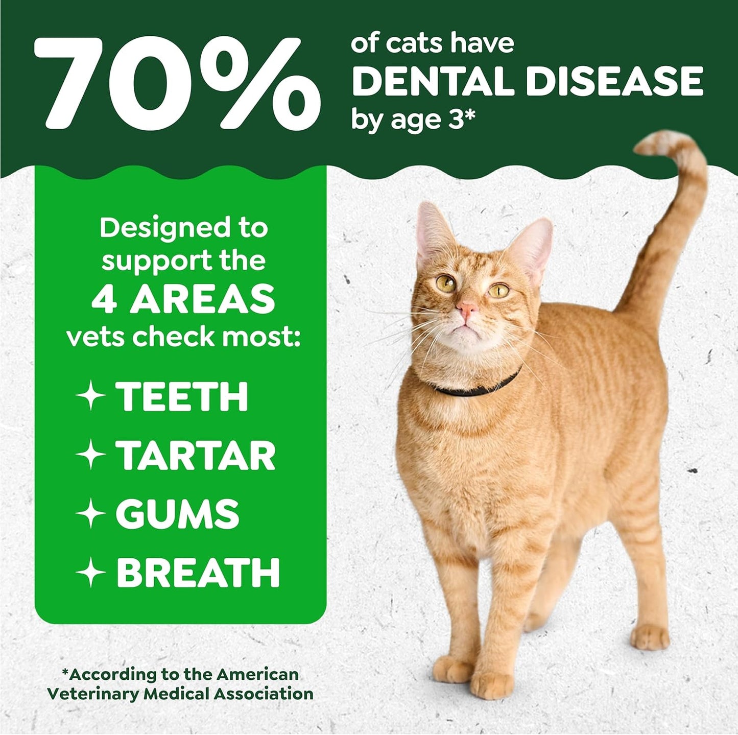 Cat Treats, Feline Veterinarian-Recommended Adult Natural Dental Cat Treats, Savory Salmon Flavor, 9.75 Oz. Tub