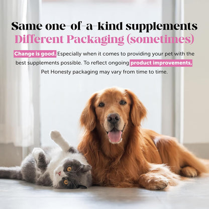 Probiotics for Dogs - Digestive Enzymes Promotes Gut Health, Dog Probiotics for Bowel Support, Fiber for Regularity, Prebiotics for Immune Health & Gut Flora (Duck, 90 Ct)