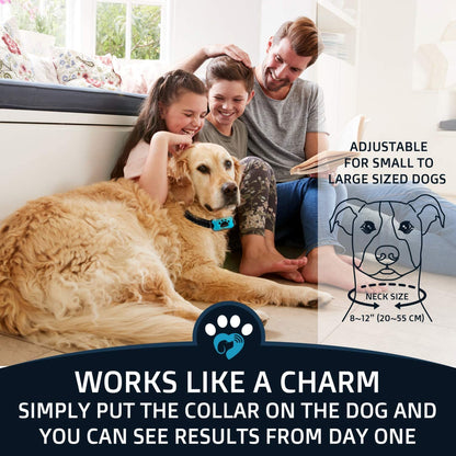 Anti Bark Collar - No Shock Training Dog Collar - Humane with Vibration and Sound Barking Collar for Small Medium Large Dogs 5-100Lbs - 2 Pack Blue Orange (Battery)